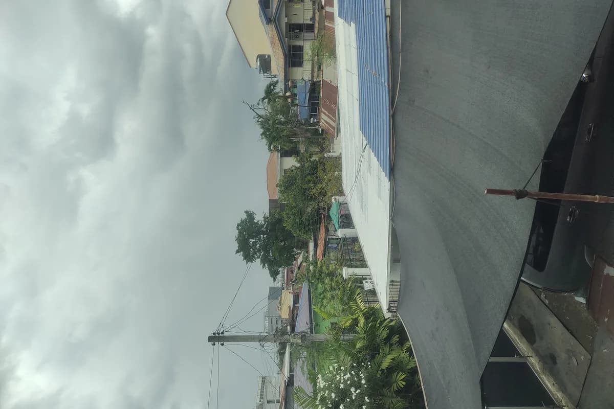 Rainy Season Health Guide: Staying Well During Cebu's Wet Months